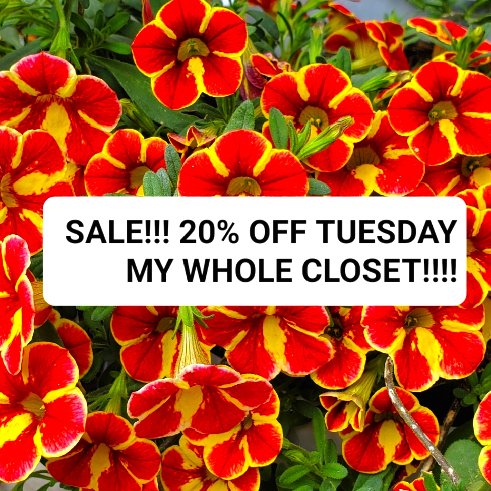 Sale 20 Off Tuesday